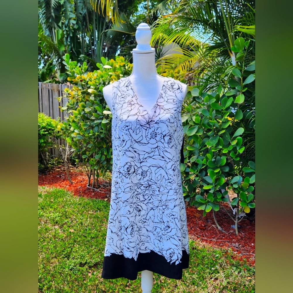 Cynthia Steffe Dress